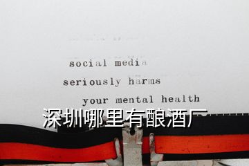 深圳哪里有釀酒廠