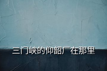 三門峽的仰韶廠在那里