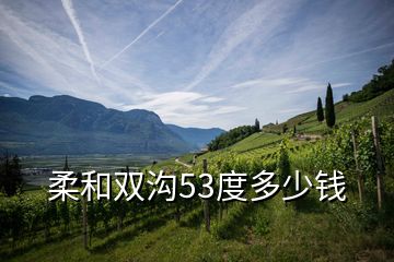 柔和雙溝53度多少錢