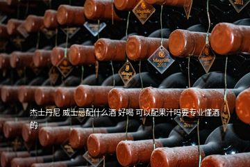 杰士丹尼 威士忌配什么酒 好喝 可以配果汁嗎要專業(yè)懂酒的