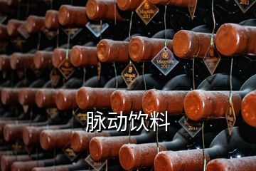 脈動(dòng)飲料