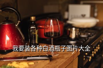 我要裝各種白酒瓶子圖片大全