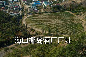 海口椰島酒廠廠址