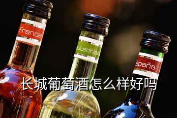 長(zhǎng)城葡萄酒怎么樣好嗎