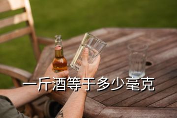 一斤酒等于多少毫克