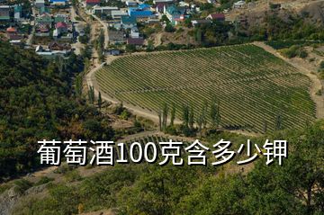 葡萄酒100克含多少鉀