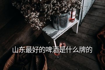 山東最好的啤酒是什么牌的