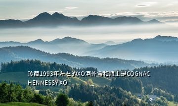 珍藏1993年左右的XO酒外盒和瓶上是COGNAC HENNESSY XO