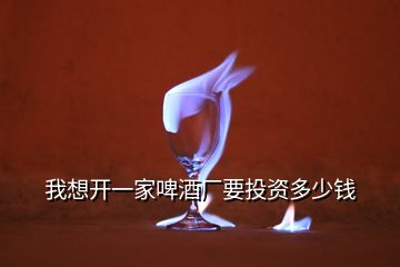 我想開一家啤酒廠要投資多少錢