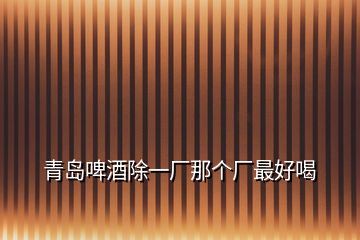 青島啤酒除一廠那個(gè)廠最好喝