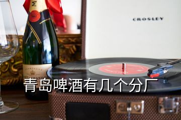 青島啤酒有幾個(gè)分廠