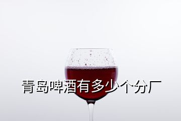 青島啤酒有多少個分廠