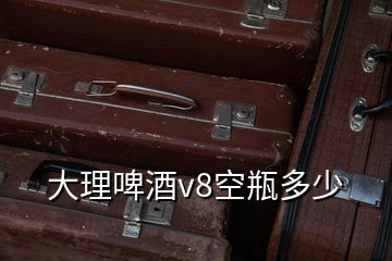 大理啤酒v8空瓶多少