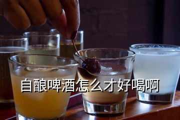 自釀啤酒怎么才好喝啊