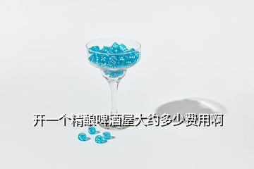 開(kāi)一個(gè)精釀啤酒屋大約多少費(fèi)用啊