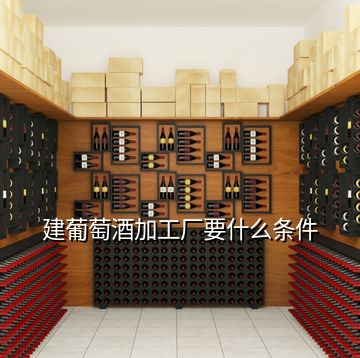 建葡萄酒加工廠要什么條件