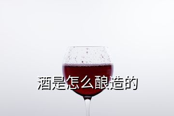 酒是怎么釀造的