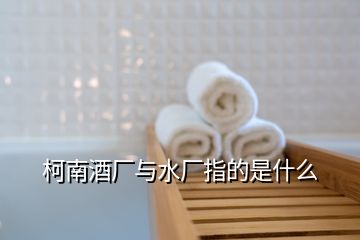 柯南酒廠與水廠指的是什么