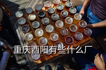 重慶酉陽有些什么廠