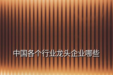 中國各個行業(yè)龍頭企業(yè)哪些