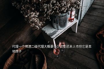 代理一個(gè)啤酒二級(jí)代理大概要多少資金還未上市但它是本地牌子