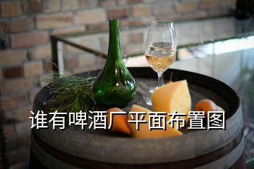 誰有啤酒廠平面布置圖