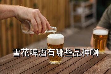 雪花啤酒有哪些品種啊