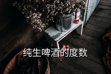 純生啤酒的度數(shù)