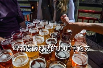 啤酒發(fā)酵現狀的3000字論文