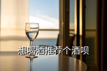 想喝酒推薦個(gè)酒唄