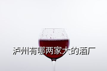 瀘州有哪兩家大的酒廠