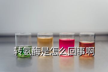 轉(zhuǎn)氨酶是怎么回事啊