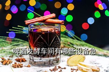 啤酒發(fā)酵車間有哪些設(shè)備急