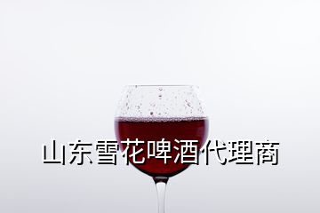 山東雪花啤酒代理商