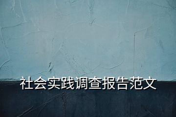 社會(huì)實(shí)踐調(diào)查報(bào)告范文