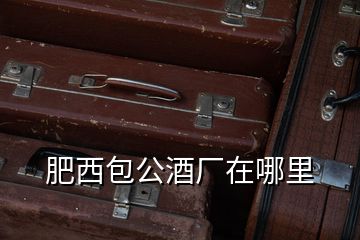 肥西包公酒廠在哪里