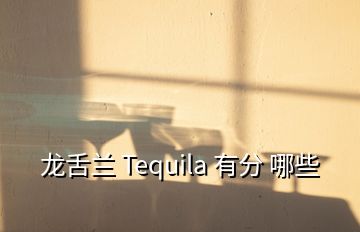 龍舌蘭 Tequila 有分 哪些