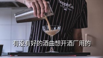 有沒有好的酒曲想開酒廠用的