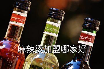 麻辣燙加盟哪家好