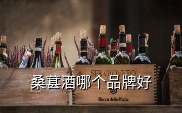 桑葚酒哪個(gè)品牌好