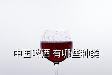 中國(guó)啤酒 有哪些種類