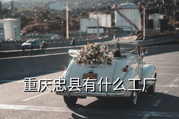 重慶忠縣有什么工廠