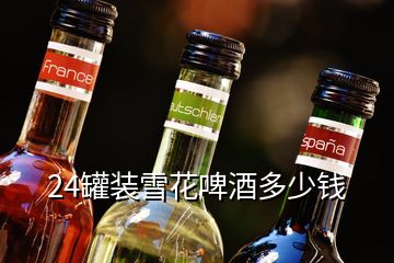 24罐裝雪花啤酒多少錢