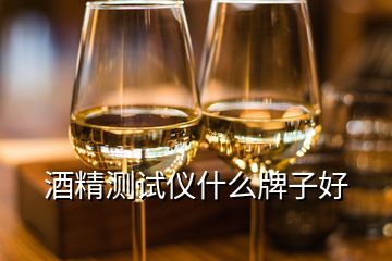 酒精測試儀什么牌子好