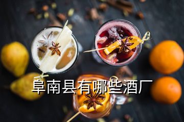 阜南縣有哪些酒廠