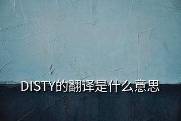 DISTY的翻譯是什么意思