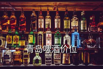 青島啤酒價(jià)位