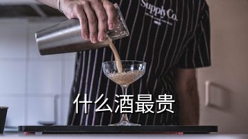 什么酒最貴