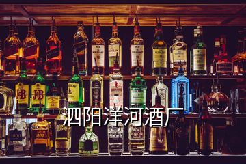 泗陽洋河酒廠