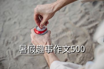 暑假趣事作文500